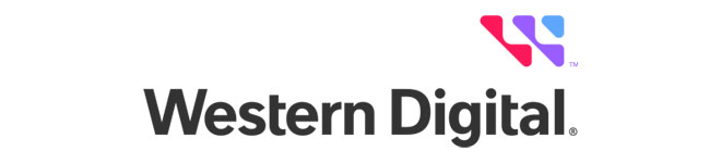 安防-Western Digital